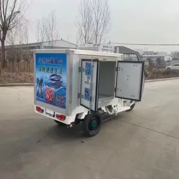 Three-Wheeled Electric Refrigerated Vehicle for Fresh Small Fish Delivery1