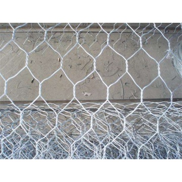 List of Top 10 Hexagonal Wire Netting-Galvanized Before Weave Brands Popular in European and American Countries