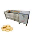 High Quality Taro Peeler and Washer Machine1