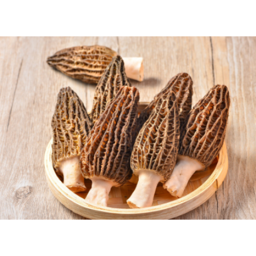 Research progress on nutrients, functional components, and health functions of morel mushroom