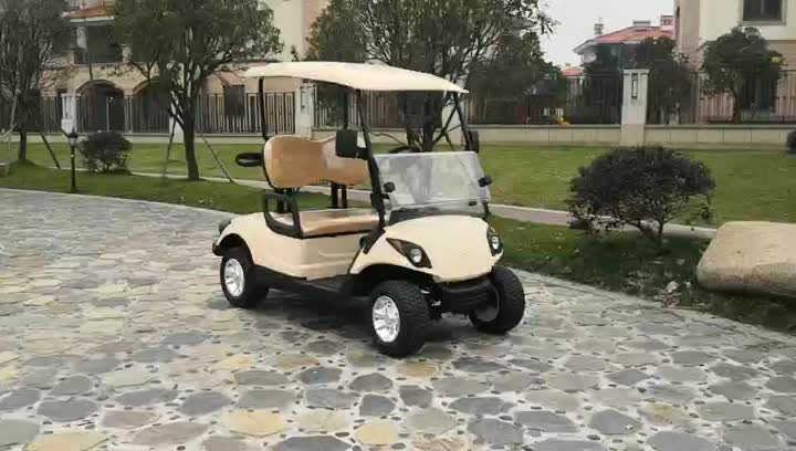 2 seats golf carts with gasoline power