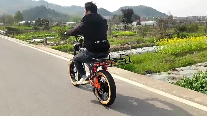 YLQ Electric bicycle
