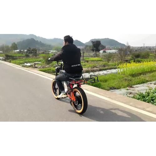 YLQ Electric bicycle