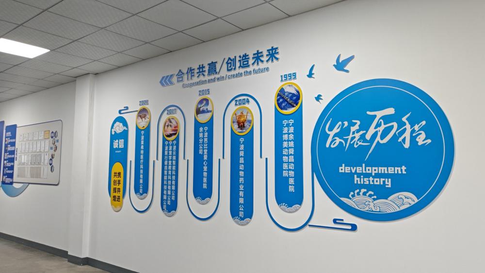 Company Development