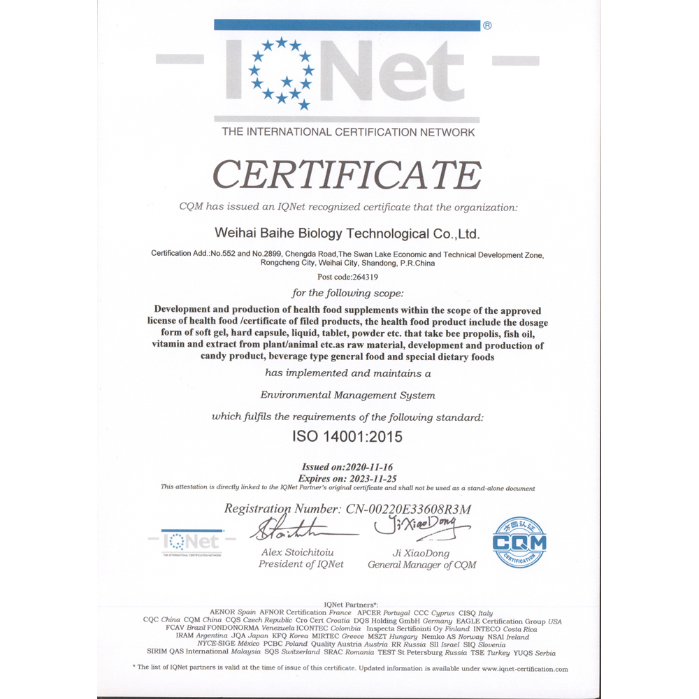 ISO 14001 certificate