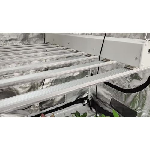 800w grow light