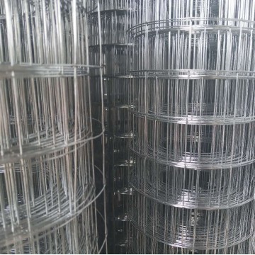 Top 10 China Coated Welded Wire Mesh Manufacturers