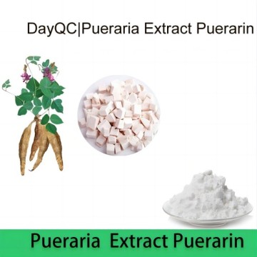 Top 10 Most Popular Chinese Natural Extracts Brands