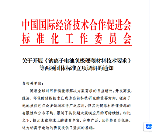 La réunion d'examen du projet de normes de groupe « Exigences techniques relatives aux matériaux en carbone dur pour l'anode des batteries sodium-ion » et « Méthode d'essai de conductivité thermique du papier carbone pour la couche de diffusio