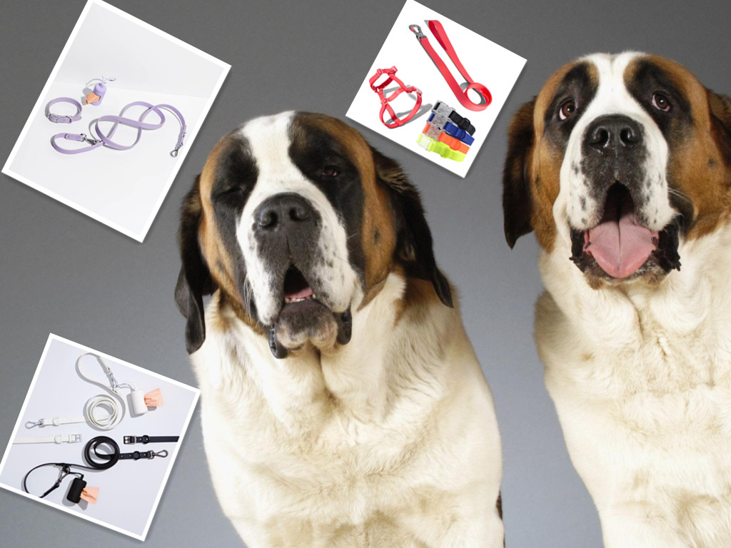 Chengdu Augus Science Technology Co., Ltd.