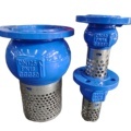 3 Inch Wafer Foot Control Steel Check And Iron Dectile Foot Valve1