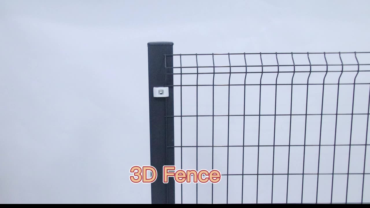 Hot mergulhado galvanizado em pó/pvc com revestimento de fios 3D Fence1