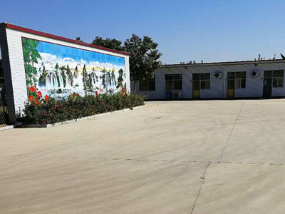 Hebei Baisiwei Import&Export Trade Co., LTD.