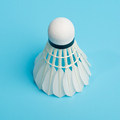 TCX999 Shuttlecock: Durable Goose Feather Badminton Shuttlecock for Professional Training1