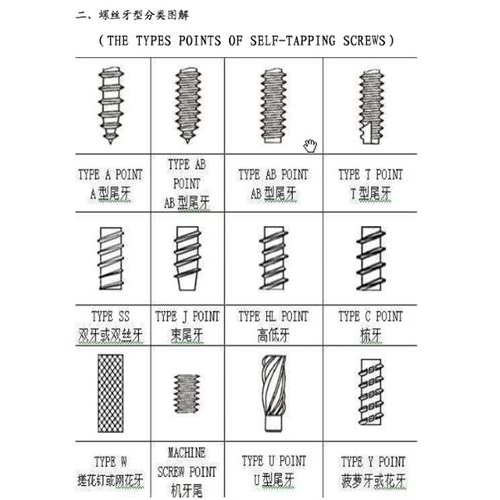 Шрубавыя веды, якіх вы маглі не ведаць