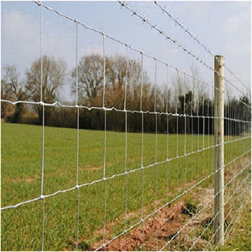 Ten Chinese Farm Fence Suppliers Popular in European and American Countries