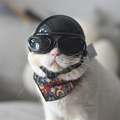 Mini Pet Motorcycle Helmet for Small Dogs1