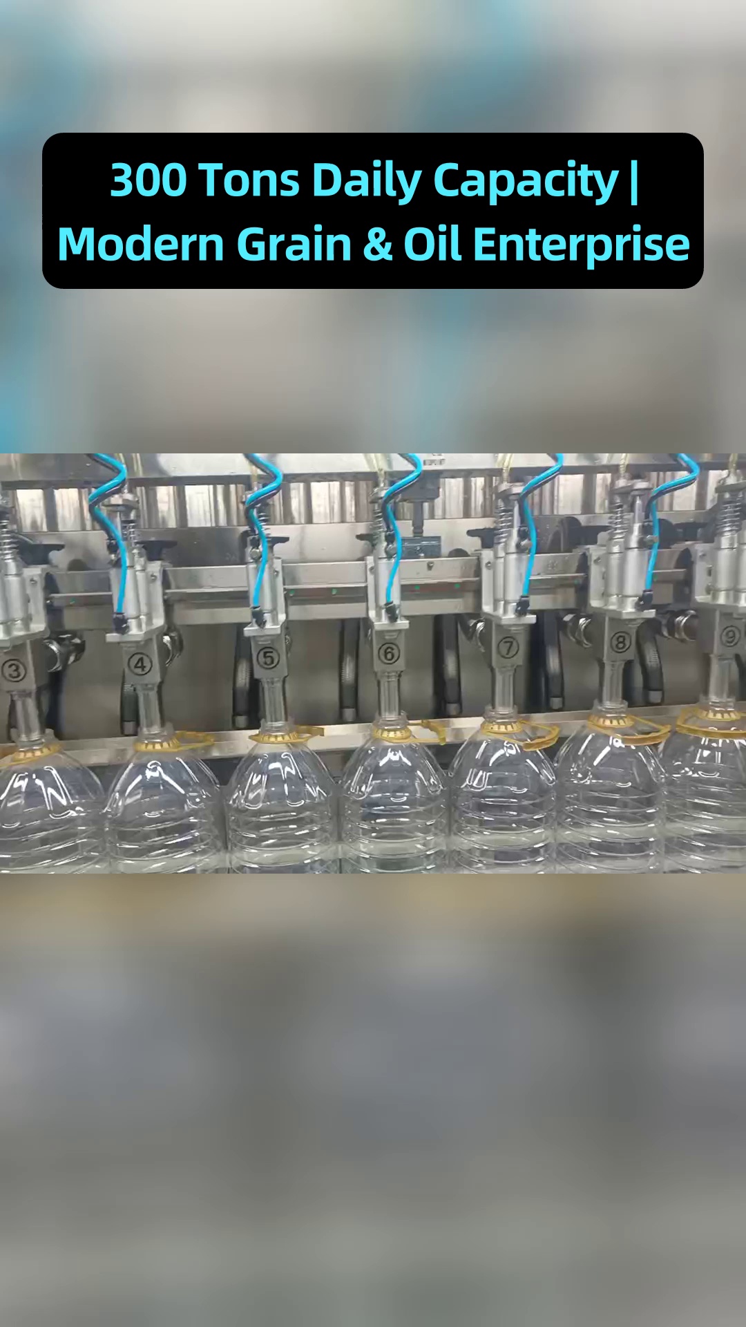تقييم مخاطر نشر زيت الطعام في ظل درجات حرارة متنوعة وظروف عمل تخزينية طويلة الأجل في المستودعات