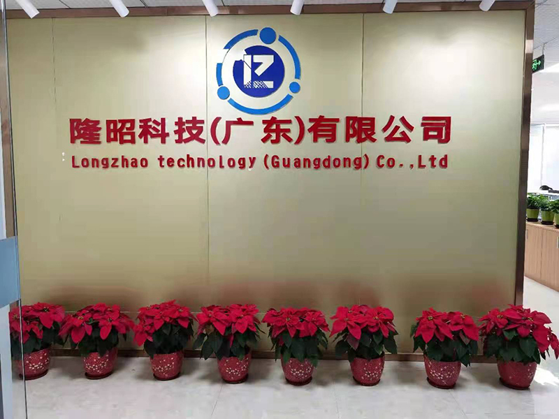 Longzhao Technology (Guangdong) Company Limited