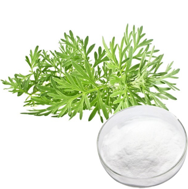 Artemisia Annua Extract 