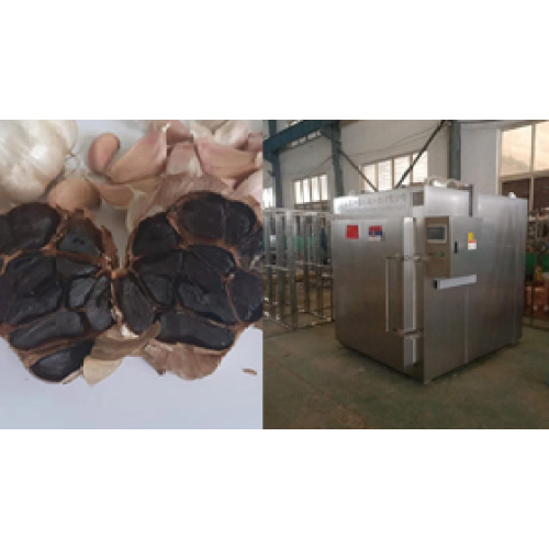  Black Garlic Machine To Canada