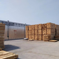 China Manufacturer Lignomat Timber Drying Kiln for Wood Treatment1