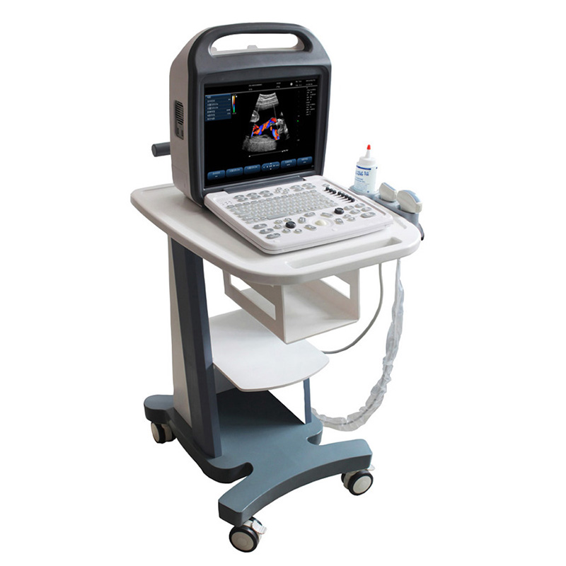 c10 Pet Ultrasound Color Doppler