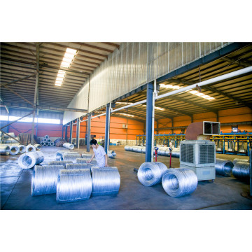 Ten Chinese Electro Galvanized Steel Wire Suppliers Popular in European and American Countries