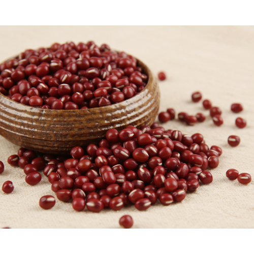 Efficacy and function of red beans