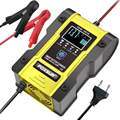FOXSUR 12V/24V Battery Charger for Cars, Boats, and Motorcycles1