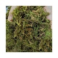 Custom Natural Dried Moss for Orchid Fertilizer and Garden Supplies1