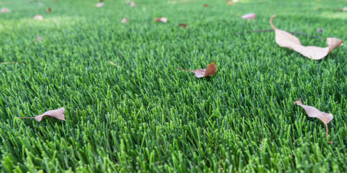 Методы ежедневной очистки искусственного газона во дворе