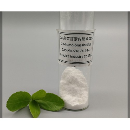บราสซิโนไลด์ 0.01% - สารควบคุมการเจริญเติบโตของพืช -โฮโม-บราสซิโนไลด์