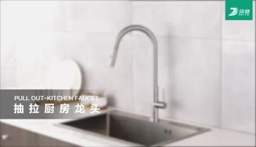 Pull Down Faucets