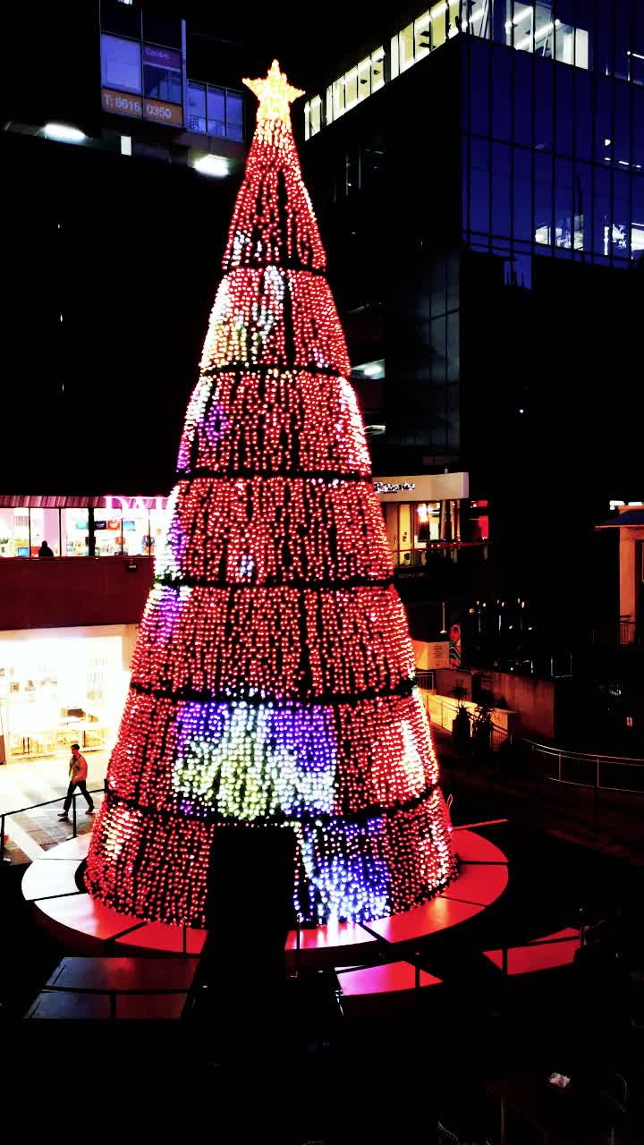 S20 shopping plaza christmas tree lighting