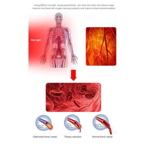 How did phototherapy become so popular with chiropractors?