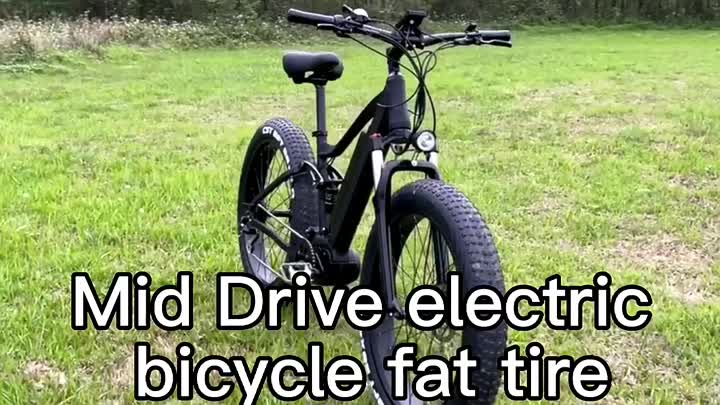 Fettreifen Mid Drive Elektrofahrrad