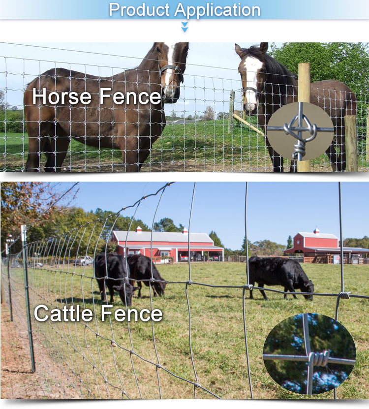 Wholesale Goat Fencing Goat Farm Design Fixed Knot Woven Wire Fence ...