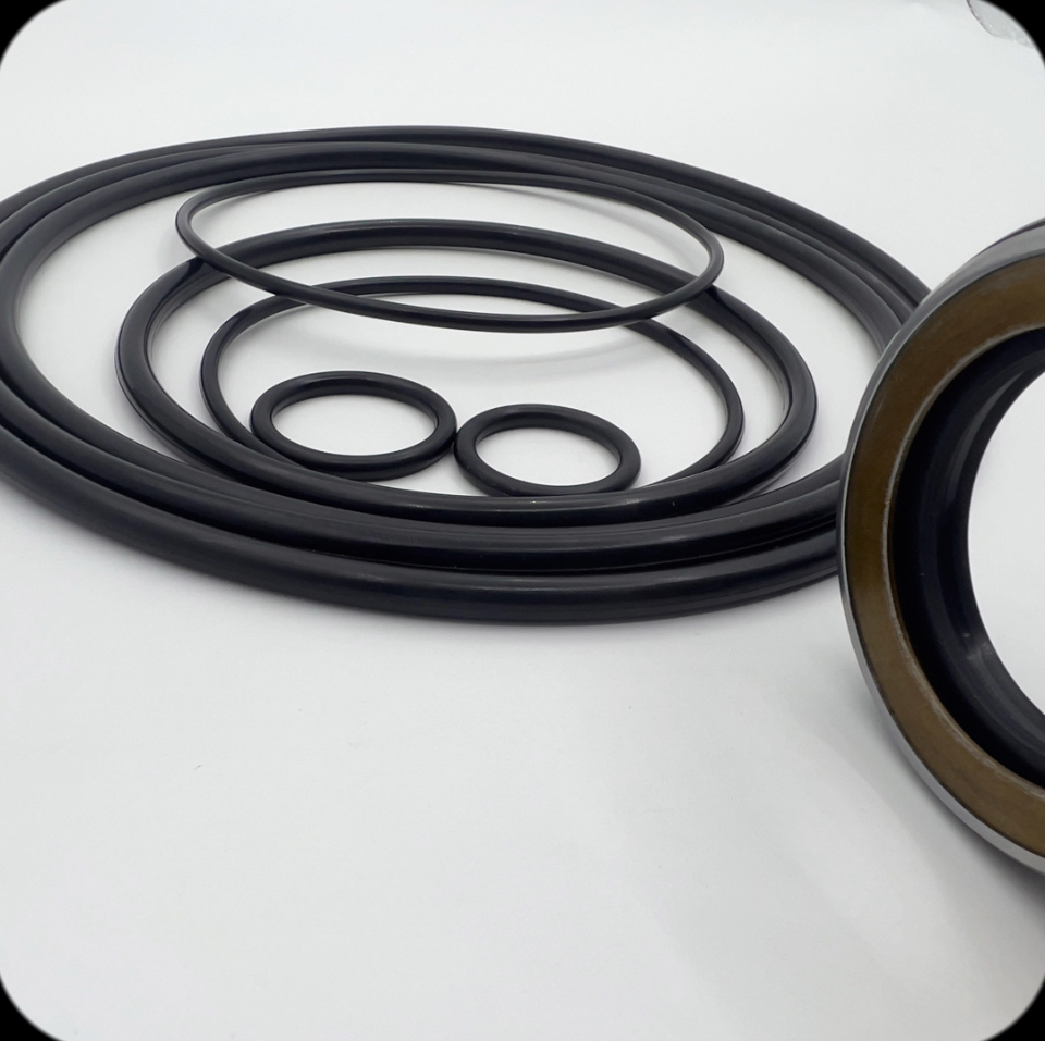 60-Swing Motor Seal Kit