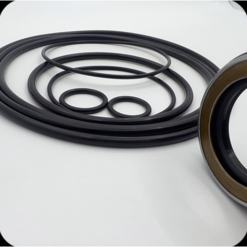 60-Swing Motor Seal Kit