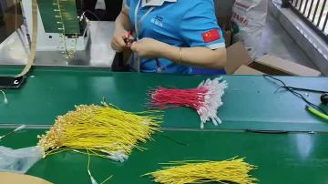 Worker: Wiring Operation