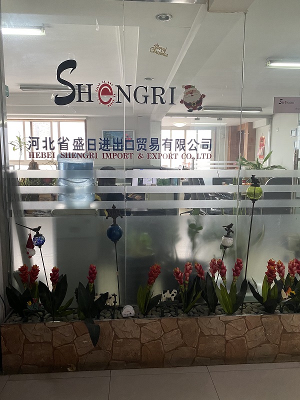 Hebei Shengri Import& Export Co.,Ltd
