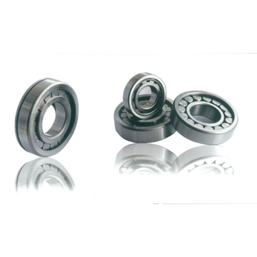 China Top 10 CYLNDRICAL ROLLER BEARINGS Brands