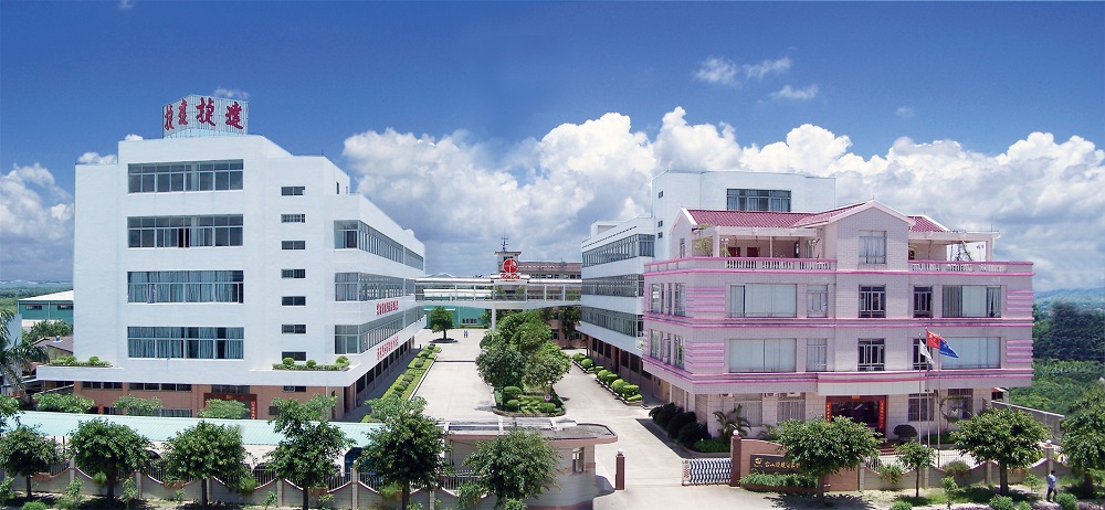 Taishan Jie Da Electrical Co., Ltd