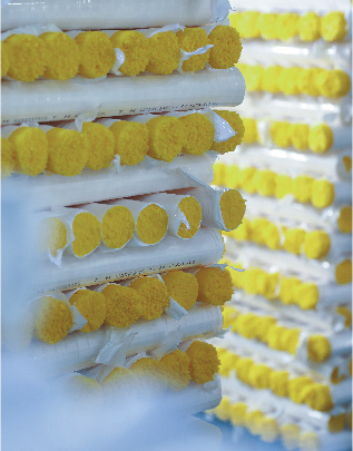 Mối quan hệ với các nhà cung cấp