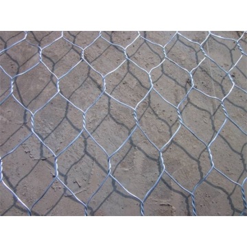 Top 10 Most Popular Chinese Hexagonal Wire Netting-Galvanized Before Weave Brands