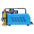 Professional High Pressure Oil-Free Air Compressors for Swimming, Diving, Breathing, Medicine, Pneumatic Tools, CNC Machines, and General Industry Use1
