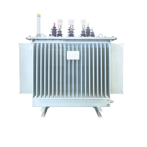 Il trasformatore in olio S20-M-1000 da 10 KV contribuisce al miglioramento della trasmissione di potenza.