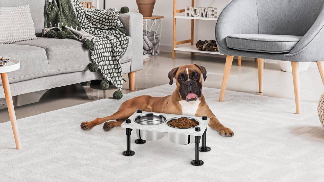 Stainless Steel Pet Feeding Bowl