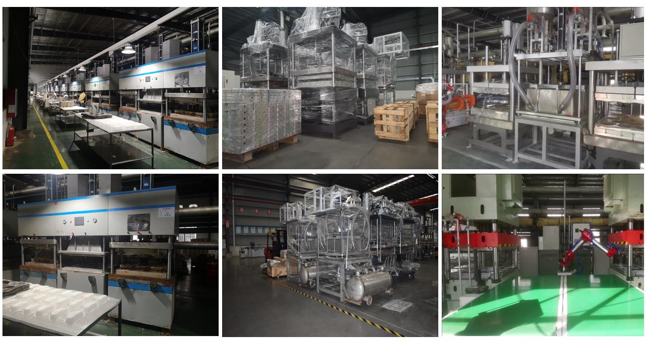 molded pulp food container making machine